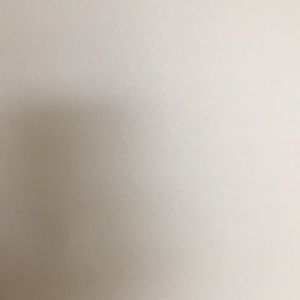 Meet your Posher, Patsey